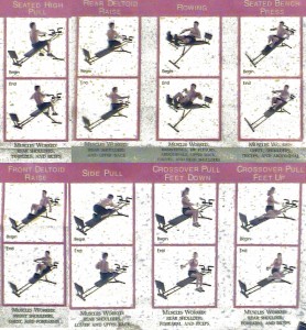 rear shoulder exercises